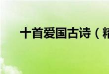 十首愛國(guó)古詩（精選愛國(guó)古詩詞30首）