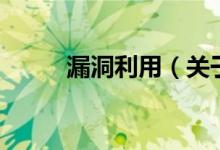 漏洞利用（關(guān)于漏洞利用的介紹）