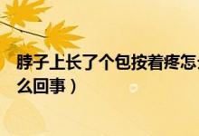 脖子上長(zhǎng)了個(gè)包按著疼怎么回事（脖子上長(zhǎng)了個(gè)包按著疼怎么回事）