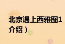 北京遇上西雅圖1（關于北京遇上西雅圖1的介紹）