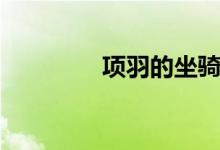 項羽的坐騎（項羽的坐騎）