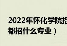 2022年懷化學(xué)院招生計(jì)劃及招生人數(shù)（各省都招什么專業(yè)）