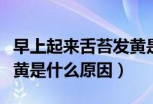 早上起來舌苔發(fā)黃是什么?。ㄔ缟掀饋砩嗵Πl(fā)黃是什么原因）