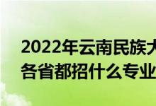 2022年云南民族大學招生計劃及招生人數(shù)（各省都招什么專業(yè)）