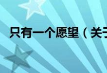 只有一個(gè)愿望（關(guān)于只有一個(gè)愿望的介紹）