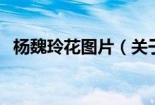 楊魏玲花圖片（關于楊魏玲花圖片的介紹）