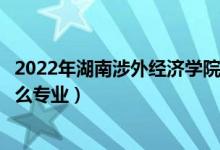 2022年湖南涉外經(jīng)濟(jì)學(xué)院招生計(jì)劃及招生人數(shù)（各省都招什么專業(yè)）