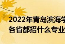 2022年青島濱海學(xué)院招生計劃及招生人數(shù)（各省都招什么專業(yè)）