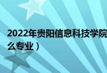 2022年貴陽信息科技學院招生計劃及招生人數(shù)（各省都招什么專業(yè)）