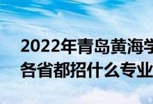 2022年青島黃海學(xué)院招生計(jì)劃及招生人數(shù)（各省都招什么專業(yè)）
