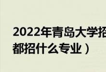2022年青島大學(xué)招生計劃及招生人數(shù)（各省都招什么專業(yè)）