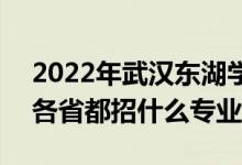2022年武漢東湖學(xué)院招生計(jì)劃及招生人數(shù)（各省都招什么專業(yè)）