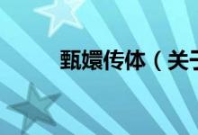 甄嬛傳體（關于甄嬛傳體的介紹）