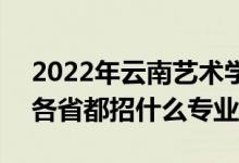 2022年云南藝術(shù)學院招生計劃及招生人數(shù)（各省都招什么專業(yè)）
