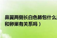 鼻翼兩側長白色膿包什么原因引起（鼻翼兩側長白色的膿痘和卵巢有關系嗎）