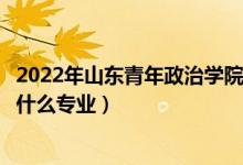 2022年山東青年政治學(xué)院在山東招生計(jì)劃及招生人數(shù)（都招什么專業(yè)）