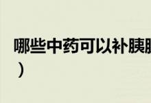 哪些中藥可以補胰臟（哪些中藥可以補腎壯陽）