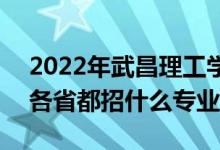 2022年武昌理工學(xué)院招生計劃及招生人數(shù)（各省都招什么專業(yè)）