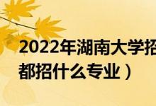 2022年湖南大學(xué)招生計劃及招生人數(shù)（各省都招什么專業(yè)）