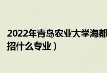 2022年青島農(nóng)業(yè)大學海都學院招生計劃及招生人數(shù)（各省都招什么專業(yè)）
