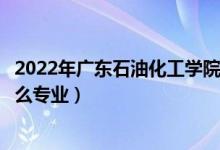 2022年廣東石油化工學院招生計劃及招生人數(shù)（各省都招什么專業(yè)）