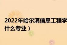 2022年哈爾濱信息工程學(xué)院招生計(jì)劃及招生人數(shù)（各省都招什么專業(yè)）