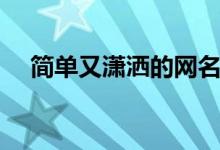 簡(jiǎn)單又瀟灑的網(wǎng)名（高傲霸氣瀟灑網(wǎng)名）