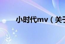 小時代mv（關(guān)于小時代mv的介紹）