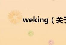 weking（關于weking的介紹）