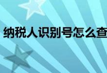納稅人識別號怎么查（納稅人識別號如何查）