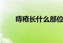 痔瘡長什么部位（痔瘡長什么位置）