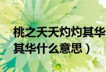 桃之夭夭灼灼其華什么寓意（桃之夭夭 灼灼其華什么意思）