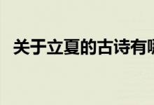 關于立夏的古詩有哪些（立夏的古詩匯總）