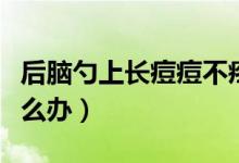 后腦勺上長痘痘不疼不癢（后腦勺上長痘痘怎么辦）