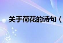 關(guān)于荷花的詩(shī)句（關(guān)于荷花的詩(shī)句推薦）