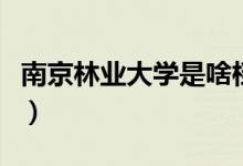南京林業(yè)大學是啥檔次（南京林業(yè)大學怎么樣）