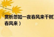 賞析忽如一夜春風(fēng)來(lái)千樹(shù)萬(wàn)樹(shù)梨花開(kāi)的意思（賞析忽如一夜春風(fēng)來(lái)）