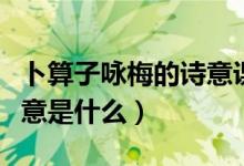 卜算子詠梅的詩意課文講解（卜算子詠梅的詩意是什么）