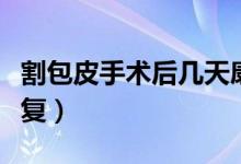 割包皮手術(shù)后幾天康復(fù)（割包皮多少錢多久康復(fù)）