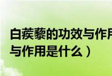 白蒺藜的功效與作用量多少克（白蒺藜的功效與作用是什么）