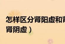 怎樣區(qū)分腎陽虛和腎陰虛（怎樣區(qū)分腎陽虛和腎陰虛）