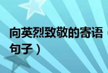 向英烈致敬的寄語(yǔ)（這些都是致敬英雄的經(jīng)典句子）