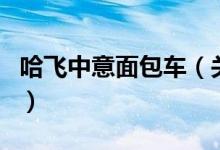 哈飛中意面包車(chē)（關(guān)于哈飛中意面包車(chē)的介紹）