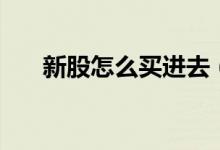 新股怎么買進(jìn)去（申購流程規(guī)則如下）