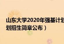 山東大學2020年強基計劃招生簡章（山東大學2022強基計劃招生簡章公布）
