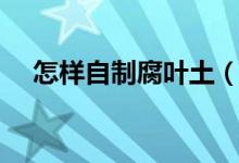 怎樣自制腐葉土（教你簡(jiǎn)單自制腐葉土）