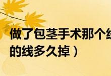 做了包莖手術那個線多久才能掉（做包莖手術的線多久掉）