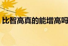 比智高真的能增高嗎（比智高真的能長高嗎）