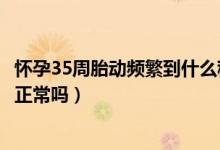 懷孕35周胎動頻繁到什么程度說明缺氧（懷孕35周胎動頻繁正常嗎）