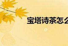 寶塔詩茶怎么讀（寶塔詩 茶）